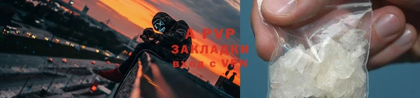 эйфоретик Арсеньев