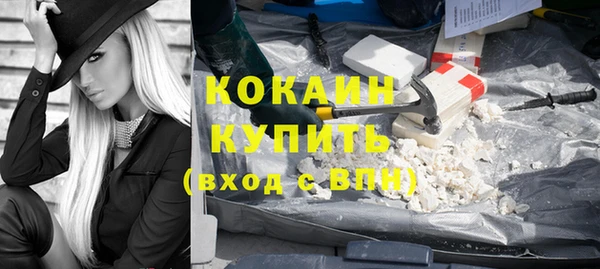 эйфоретик Арсеньев