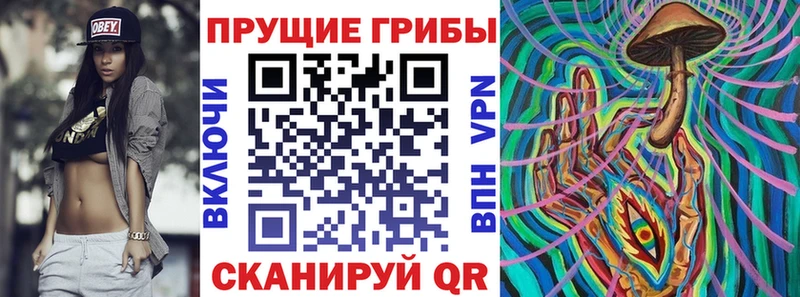 Псилоцибиновые грибы Psilocybine cubensis  blacksprut ТОР  Правдинск  дарнет шоп 